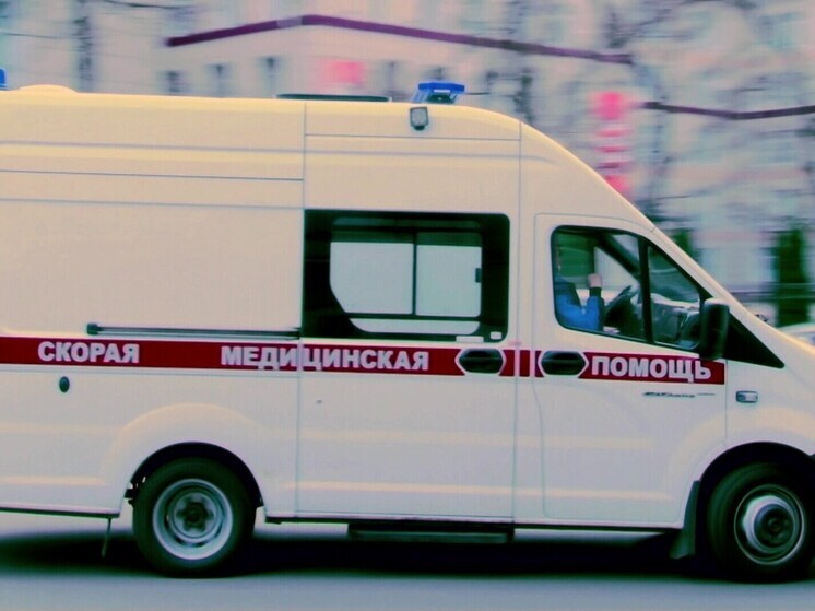 Хинштейн призвал срочно корректировать работу скорой помощи в Курской области