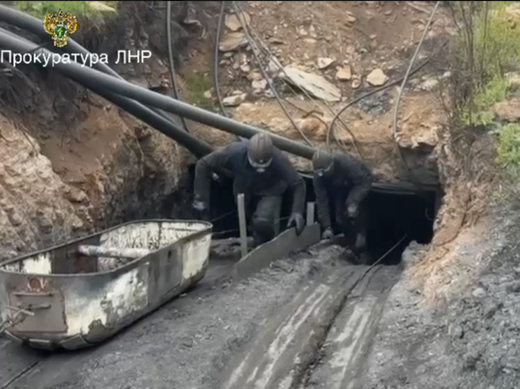 Прокуратура ЛНР выявила незаконную добычу угля в Краснолучском муниципальном округе