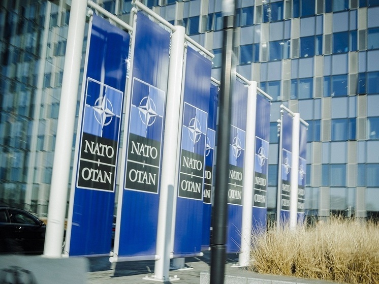 Политолог Асафов допустил гибель стран НАТО из-за увеличения оборонного бюджета