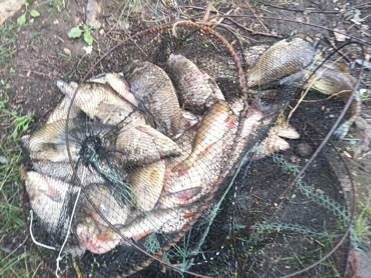 Два десятка рыбы выловил браконьер на Аргазинском водохранилище