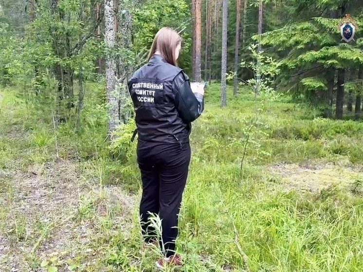 В Олонецком районе проводится проверка по факту гибели постояльца дома-интерната