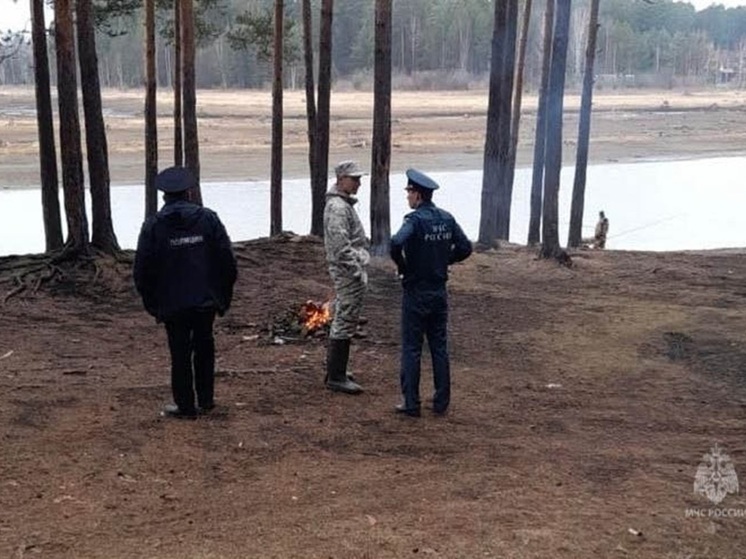Больше 200 нарушителей противопожарного режима выявили за неделю в Свердловской области