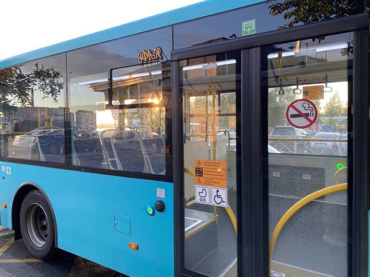 Более сотни новых автобусов появятся на дорогах Петербурга
