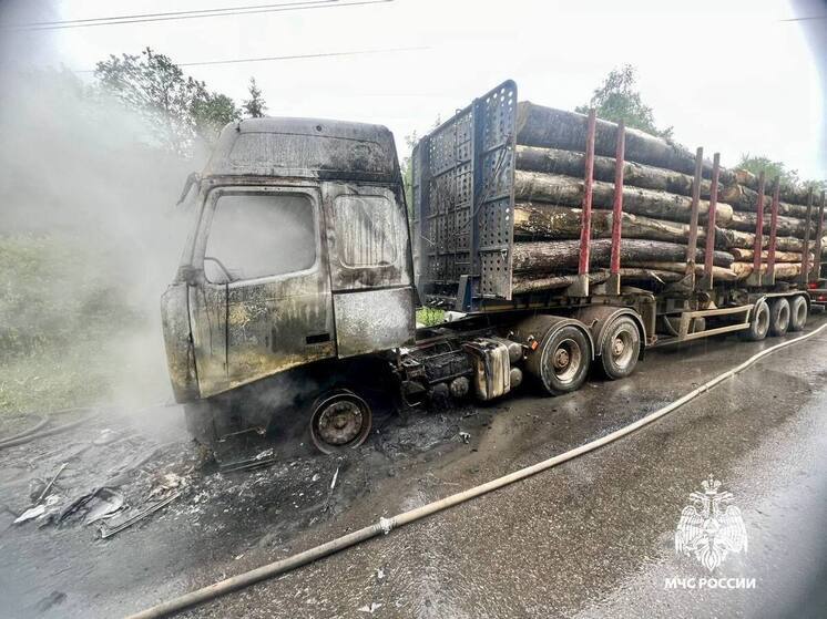 В Тверской области вспыхнул лесовоз