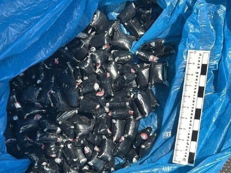 В Астраханской области задержали иностранца с крупной партией наркотика