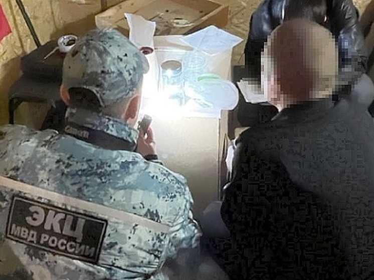 Задержанные в Волгограде подростки сожгли копию Знамени Победы