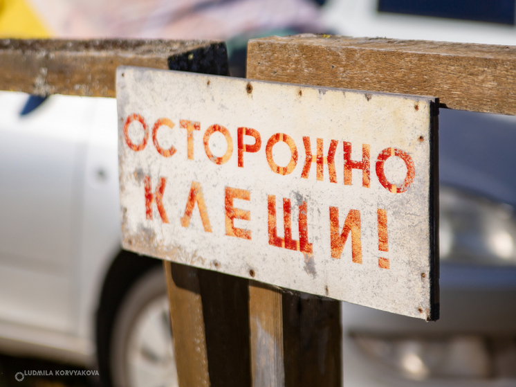 В Карелии за неделю зарегистрированы два случая заражения клещевыми инфекциями