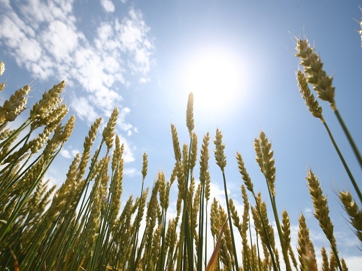 Народные приметы: что не рекомендуется делать 1 июля, в Ярилин день