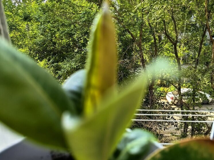 Жара в Хабаровске и крае 1 июля немного спадет