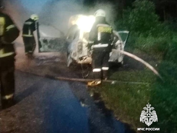 В МЧС опубликовали видео тушения горящего авто под Тверью от первого лица