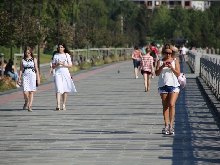 Жара до +31°C и грозы накроют Новосибирскую область в ближайшие дни