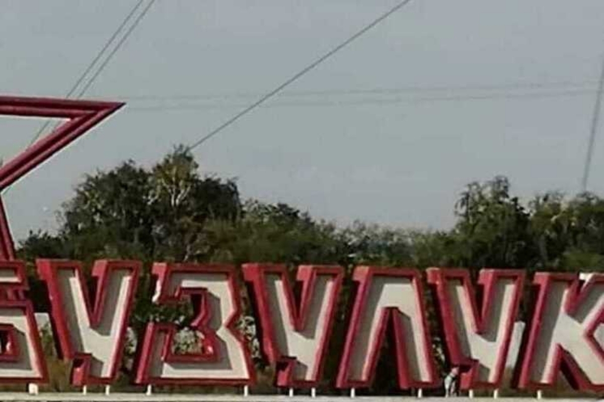 Глава Бузулука спас болотную черепаху