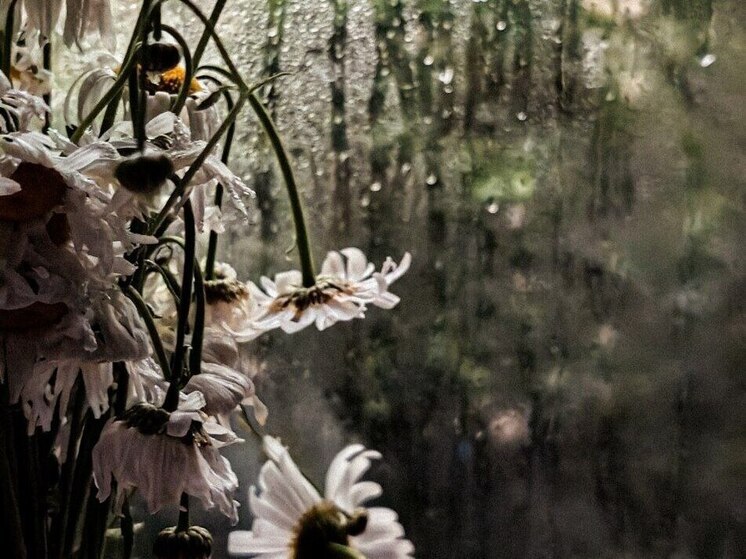 Ливни и грозы накроют Хабаровский край 2 июля