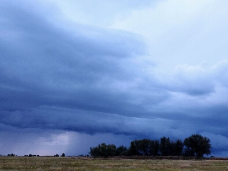 В Волгоградской области 1 июля ожидаются дожди, грозы и ветер до 20 м/с
