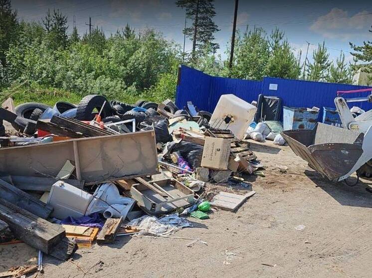 Больше 60 кубометров мусора вывезли с территории дач после паводка в Тарко-Сале