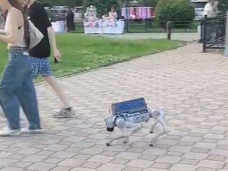 Жителей Благовещенска напугал робот-собака с искусственным интеллектом