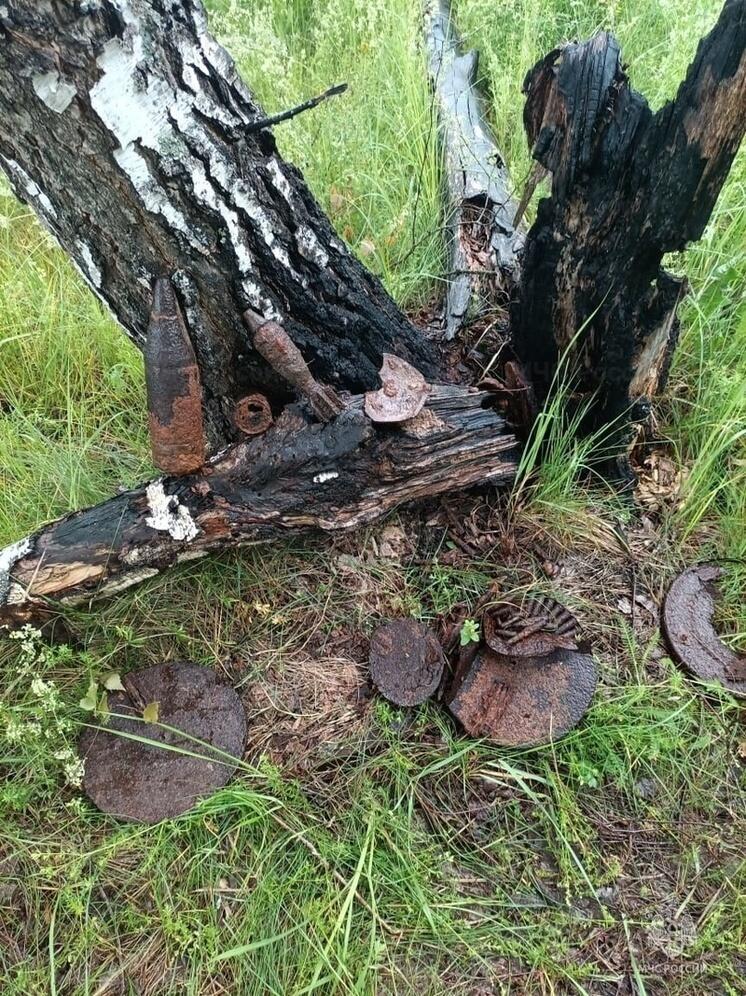 В калужской деревне нашли 49 взрывоопасных объектов