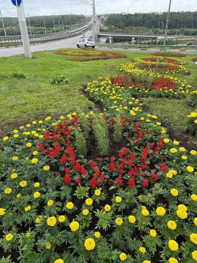 В Калуге будет больше мест для прогулок и фото