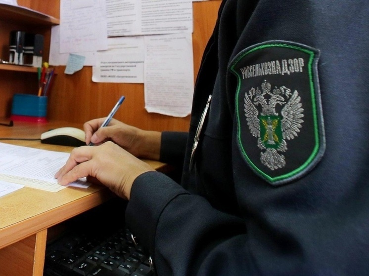 В Запорожской области проверили предприятия общепита: приняты решения