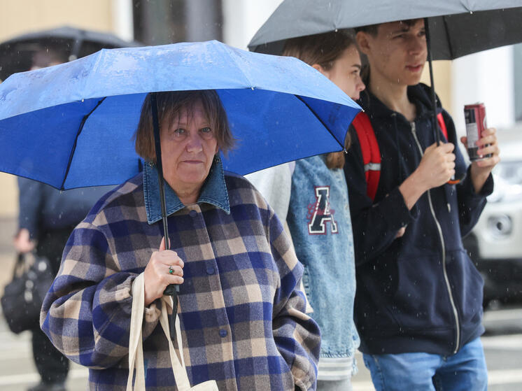 Тишковец: за сутки в Подмосковье выпала треть месячной нормы осадков