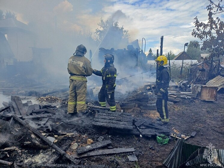 В барнаульском СНТ загорелись два дачных домика на площади 300 «квадратов»