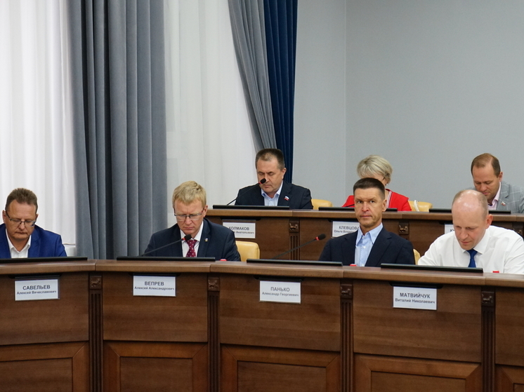 Депутаты думы Иркутска утвердили план работы на второе полугодие