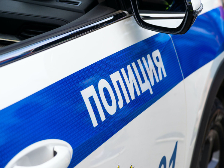 Челябинец напал на статую на Кировке из-за ссоры с подругой