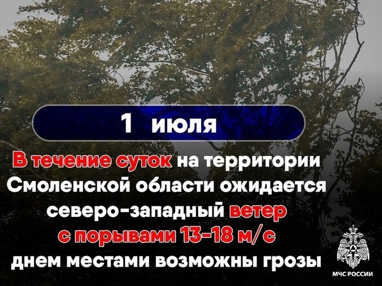 В Смоленской области объявлено штормовое предупреждение