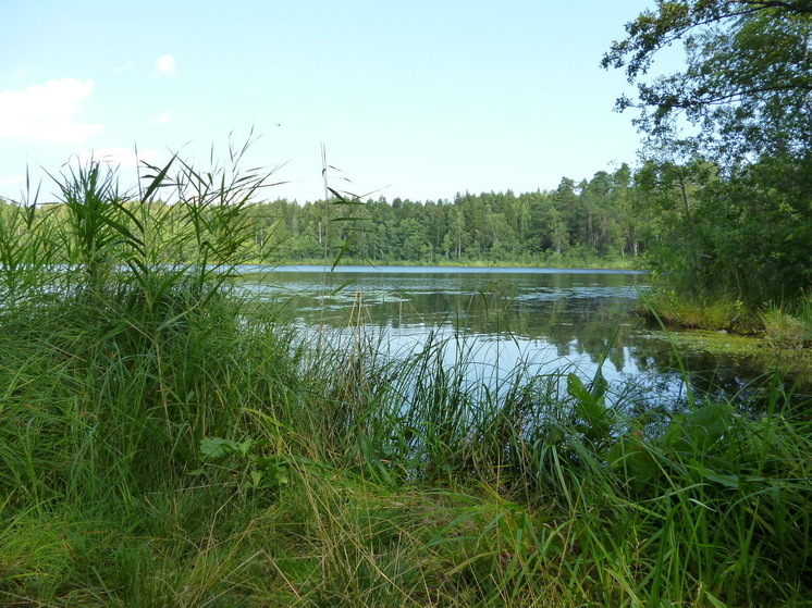Вильфанд предупреждает россиян о "волнах" жары в июле: какие регионы она затронет?
