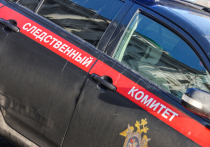 В Красноярском крае возбуждено уголовное дело после жестокого насилия над 10-летним ребёнком в лагере, сообщает телеграм-канал "Сибирский экспресс"