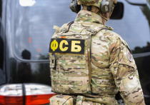 Сотрудники ФСБ России совместно с военными обнаружили в Донецкой Народной Республике тайник с самодельными бомбами, предназначенными для сброса с беспилотников