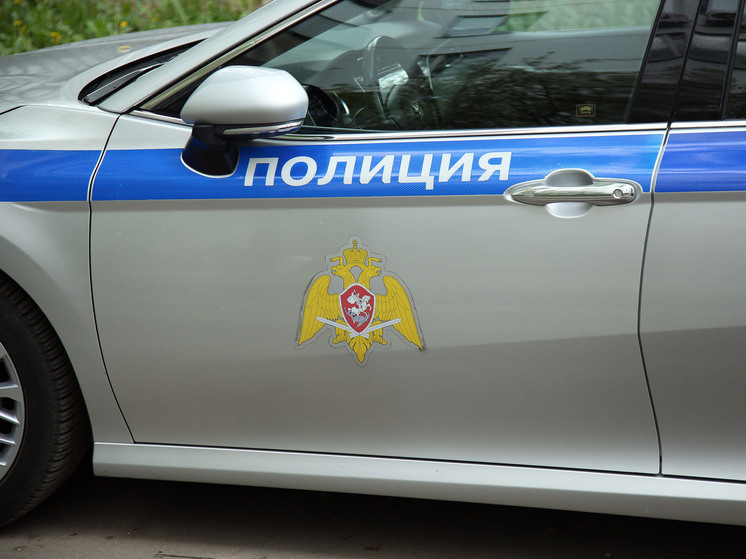 Подозреваемого в краже машины за 4,5 млн задержали полицейские