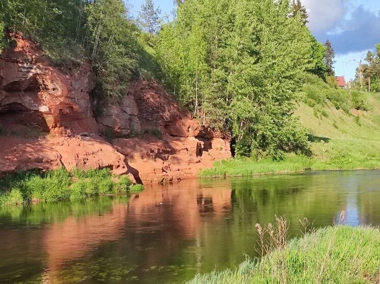 На берегу реки в Сланцах нашли тело мужчины в тельняшке