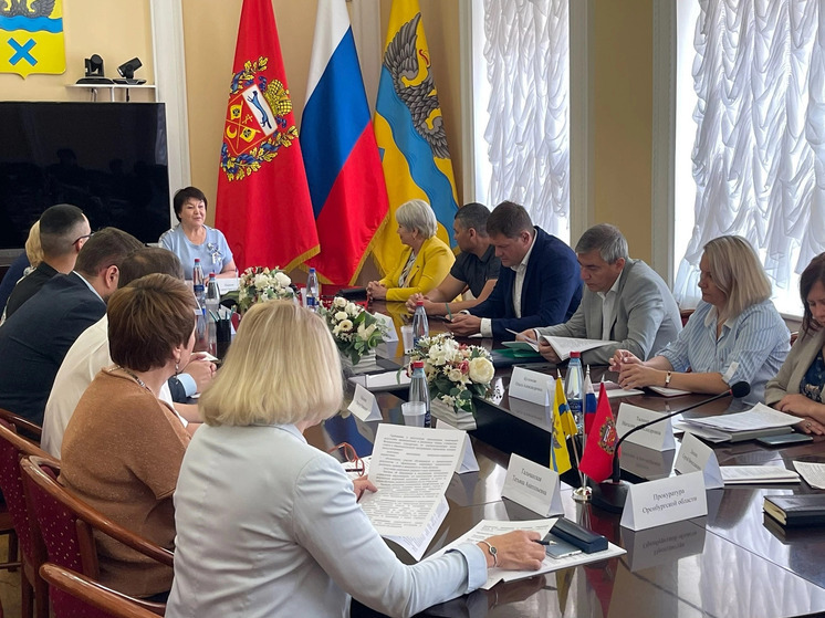 Депутаты Оренбургского городского Совета приняли участие в заседании Коллегии Счетной палаты города Оренбурга