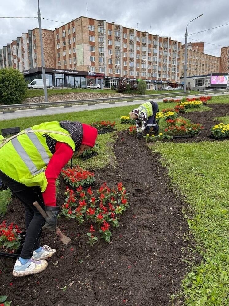 В Калуге озеленили улицу Ленина