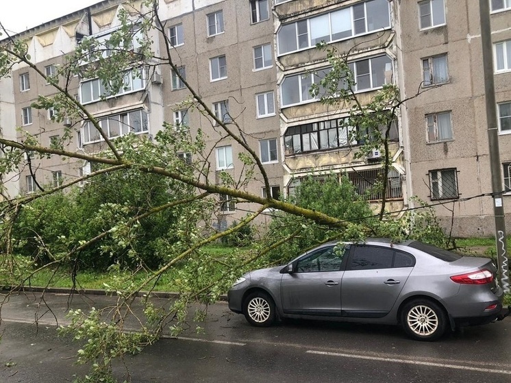 Аварийные службы убирают последствия непогоды в Череповце