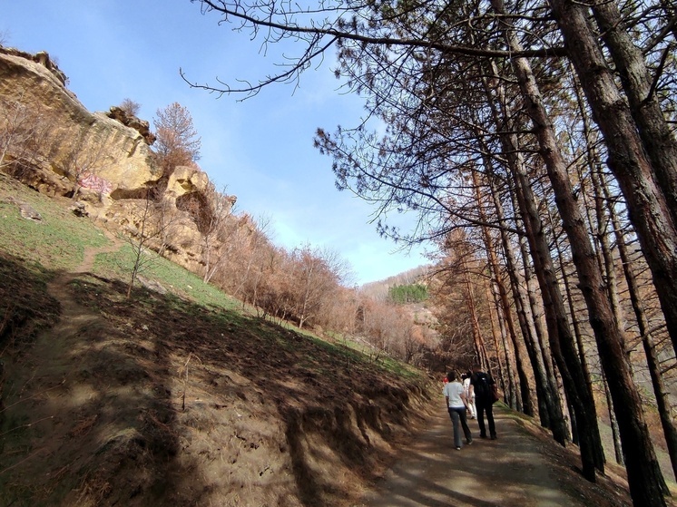 В национальном парке «Кисловодский» сняли проект «Заповедный сет»