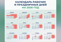 В Ростовской области зимние каникулы продлятся 12 дней подряд