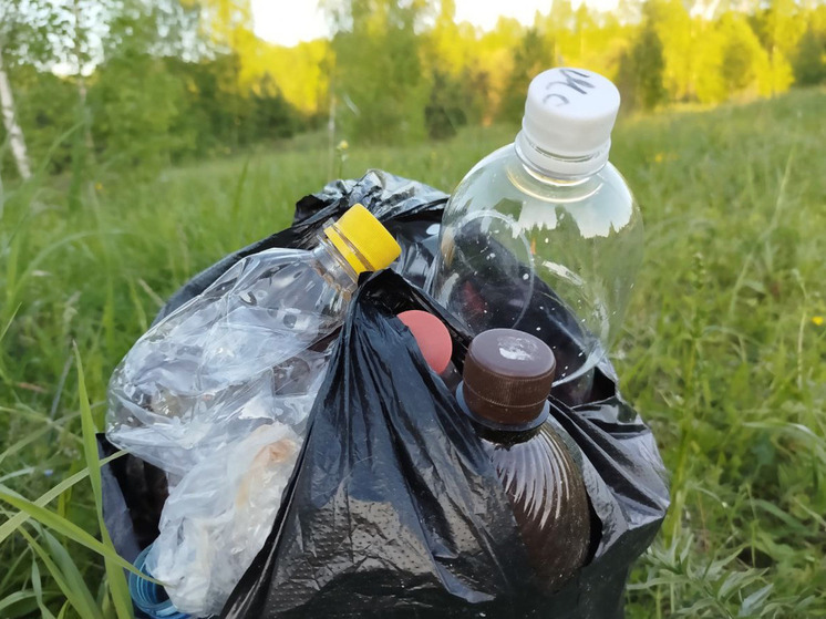 Управляющую компанию в Ковдоре заставили убрать мусор во дворе на Слюдяной
