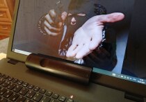 Психолог Елена Масолова объяснила в беседе с NEWS.ru, почему человеку иногда полезно смотреть фильмы ужасов. И причин тому может быть несколько.