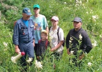 Группа туристов решила подняться на гору Синюха в Алтайском крае и потерялась. Всего пропали четыре человека, в том числе маленький ребенок. В итоге здесь развернулась целая поисково-спасательная операция.