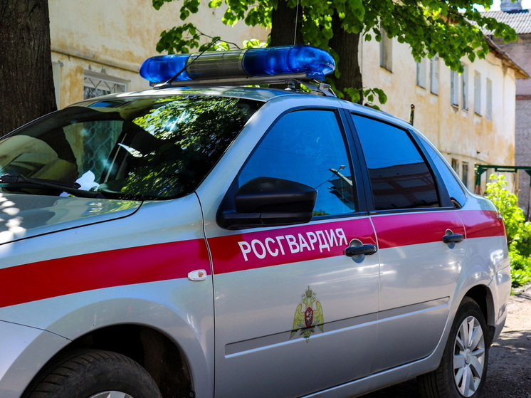 В Марий Эл сотрудники Росгвардии задержали гражданина, находящегося в федеральном розыске