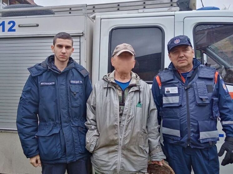 Заблудившегося грибника вывели из леса спасатели Чехова