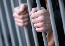 Суд на 11 суток арестовал второго последователя блогера Алекса Лесли, сообщили РИА Новости в инстанции

Савеловским судом Москвы на одиннадцать суток арестовал второй последователь скандального блогера Александра Кириллова (Алекса Лесли)