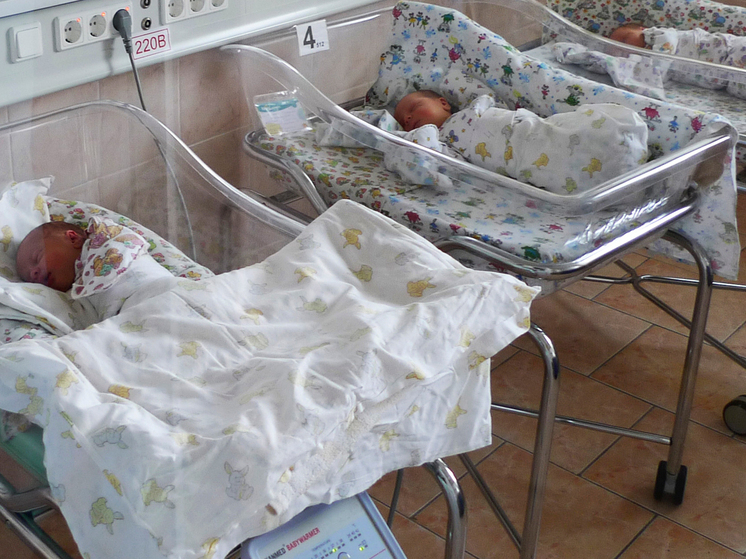 Удивительные открытия меняют представление о развитии мозга и природе нейродегенеративных заболеваний