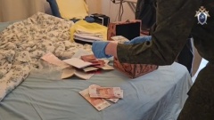 По месту проживания и работы ректора УралГУФК прошли обыски. Видео
