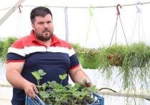 Максим Чернов выращивает саженцы плодовых культур и декоративных растений.