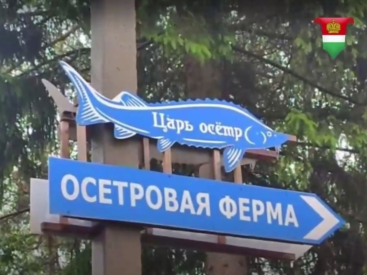 Житель Людинова создал ферму по выращиванию осетров с нуля