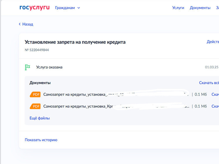 Около 400 тысяч жителей Башкирии установили самозапрет на кредиты