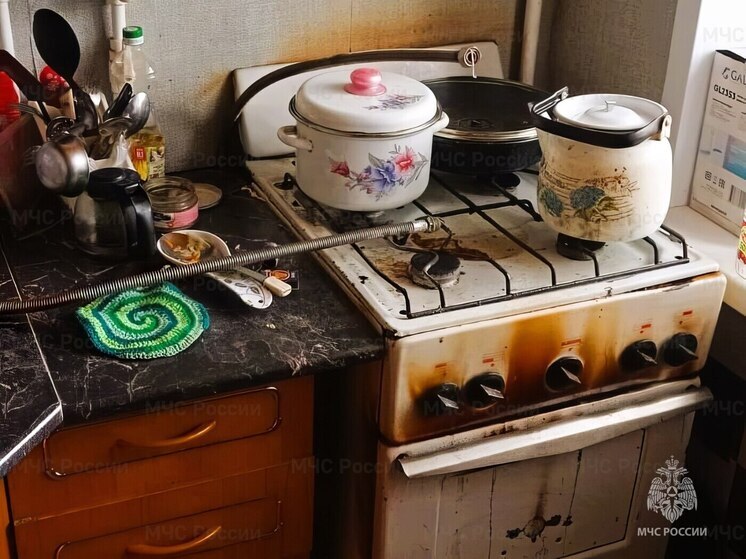 Жительница Алатыря пострадала, забыв блюдо на огне в духовке